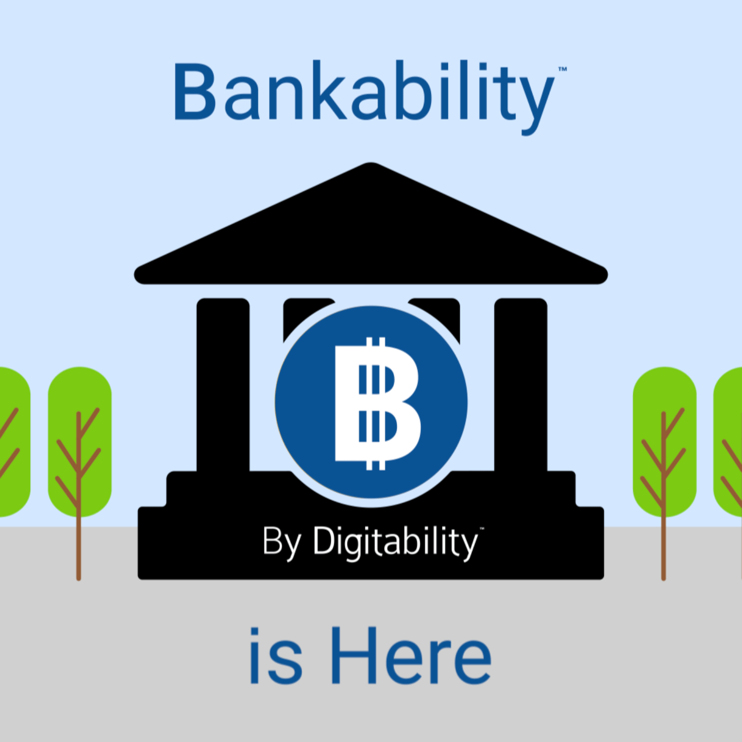 Bring Bankability to your school for as low as $499!