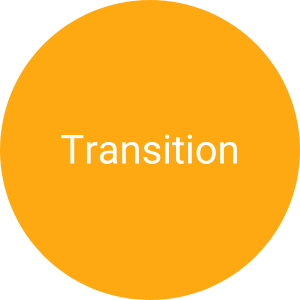 Transition Curriculum Bubble