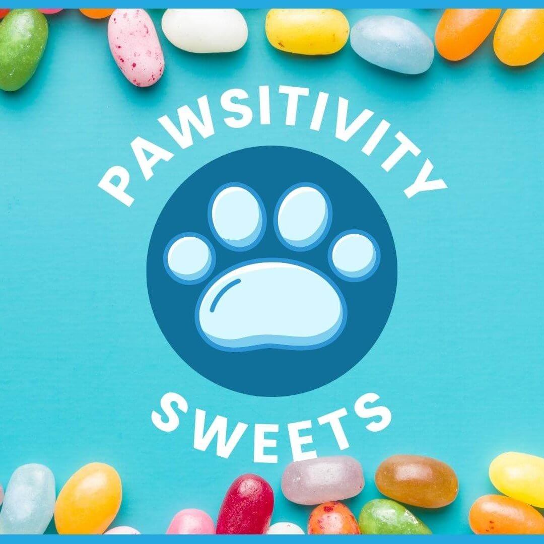 Completed-Stacy Juliani - Pawsitivity Sweets