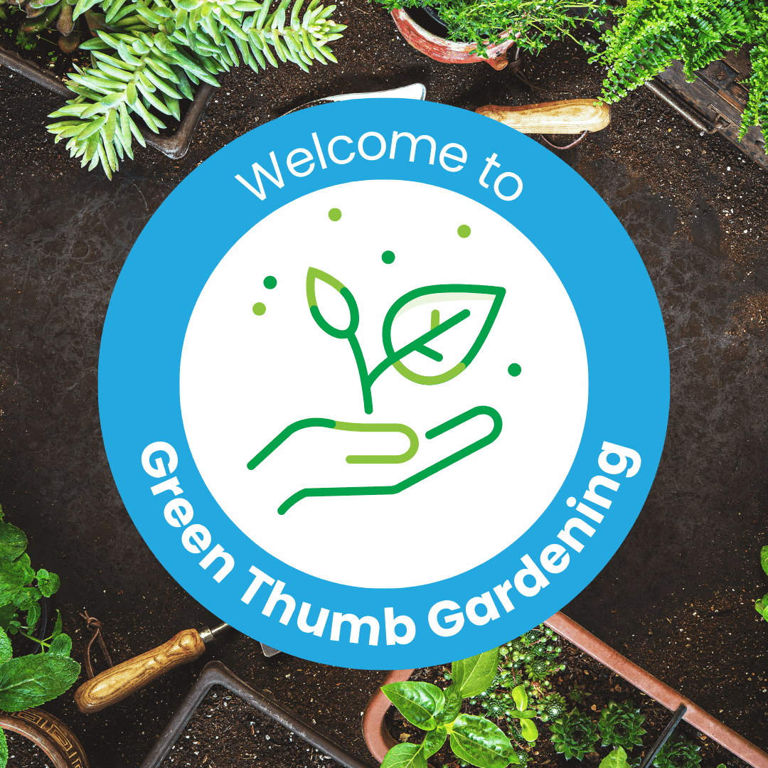 Mary Alleyne - Goodwill Garden Project